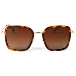 Lunettes De Soleil Binocle Eyewear Paloma Shiny Gold Tortoise Gradient Brown Polarized -Meilleur Vêtements Magasin 01d64a4c282c091b8039c245de8d051862fe03d2 E22BINOLUN218827 BINO0620884 4