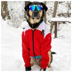 Lunettes De Soleil Pit Viper The Originals Polarized The Absolute Freedom -Meilleur Vêtements Magasin 3c40298695efe3d5ca6bc522e1d4afcd07d0a2e7 E22PITVLUN345854 PITV0202902 902