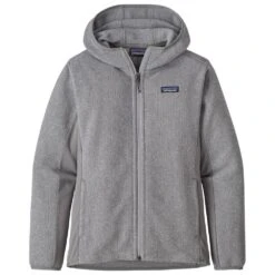 Veste Patagonia Lw Better Sweater Hoody Feather Grey