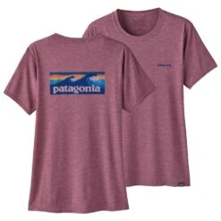 Tee-shirt Patagonia Capilene Cool Daily Graphic Shirt Waters Board Logo Evening Mauve X-Dye -Meilleur Vêtements Magasin b42b2493a65a4d135f11693d1bc42e4e90c1838c E23PATATEH3366543 901